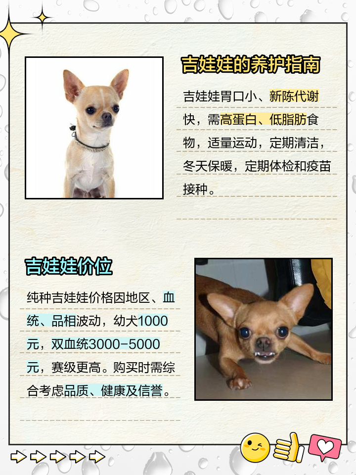 2025年9月 第44页